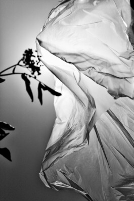 Bernhard Kahrmann Fotografie