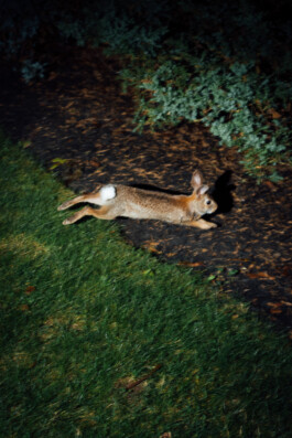 Bernhard Kahrmann Fotografie