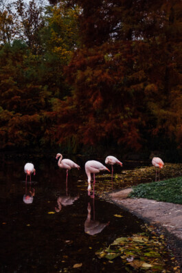 Bernhard Kahrmann Fotografie